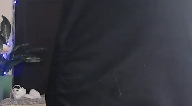 Snapshot of WildRuhi20 chatting on 01/25/25, 11:13 WildRuhi20 online show from 01/25/25, 11:13