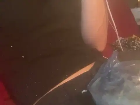 skatebored online show from 01/26/25, 04:51