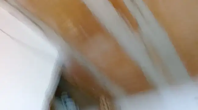 alexxa Rooa online show from 02/07/25, 02:19