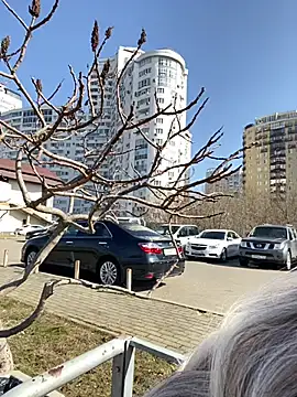 SandraCarter online show from 03/08/25, 08:11