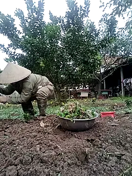 Fuckmehard2xx online show from 02/23/25, 02:51