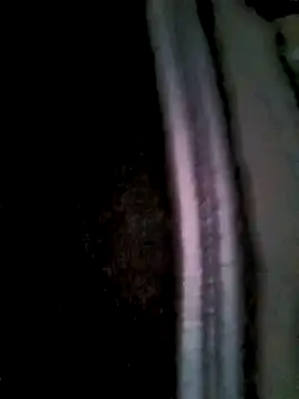 Fuckmehard2xx online show from 03/02/25, 09:42