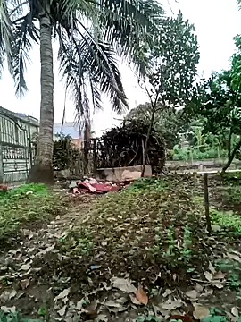 Fuckmehard2xx online show from 03/09/25, 09:24