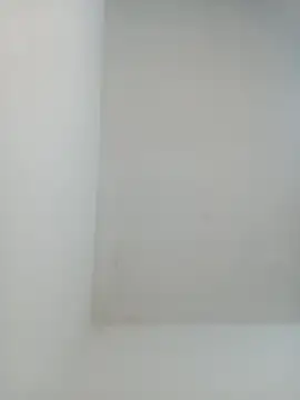 igor miller20 online show from 02/01/25, 09:29