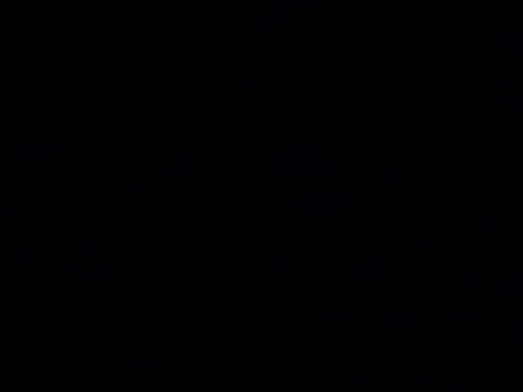 biffboff123 online show from 06/07/26, 10:02