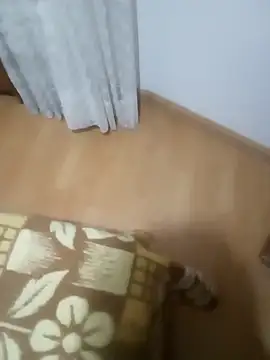 rush6983 online show from 11/06/25, 01:28