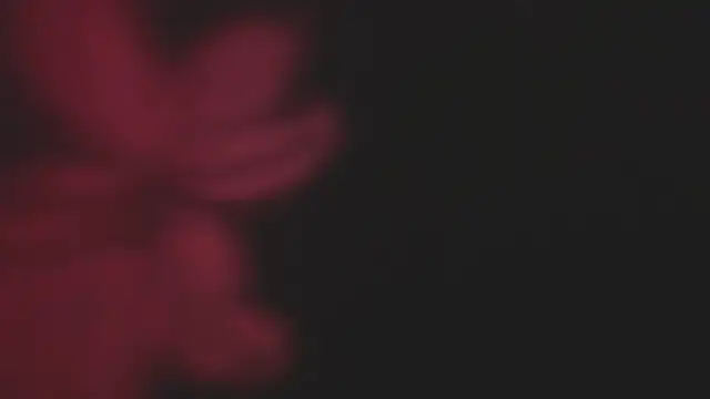 Lola69Rosexxx online show from 02/02/25, 09:45