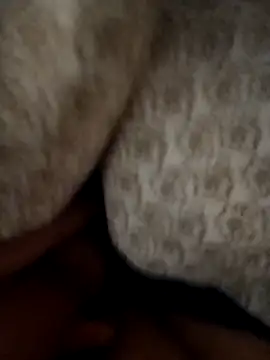 Porco81cazzo online show from 01/06/26, 07:01