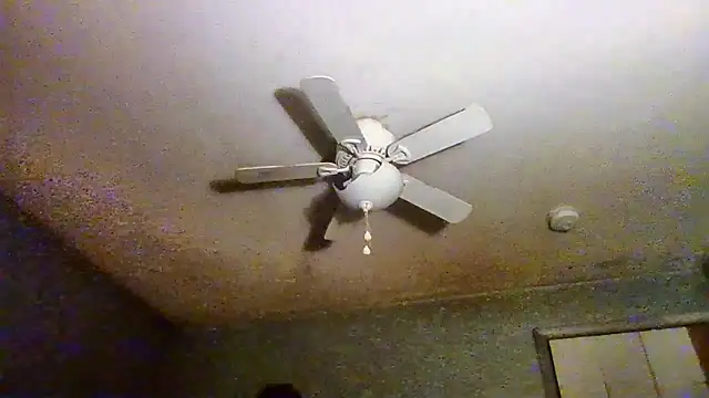 VanceFontaine online show from 04/20/26, 05:05