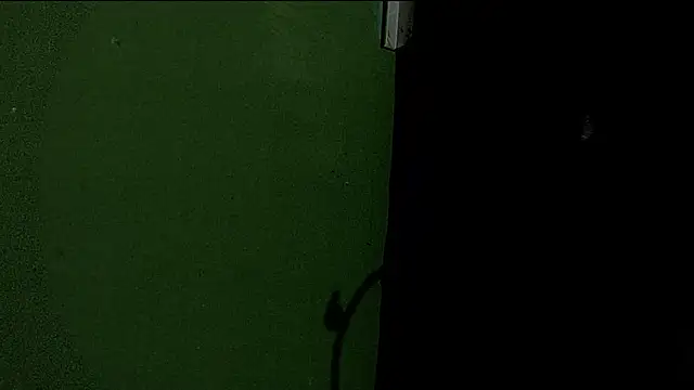 Deleon1995 online show from 01/02/25, 04:52