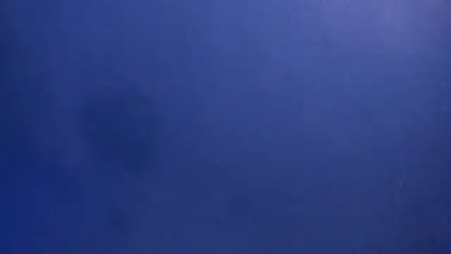 celestelewis online show from 03/19/25, 07:49