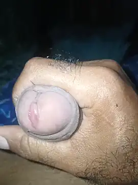 taylorWiiz online show from 11/26/25, 06:31