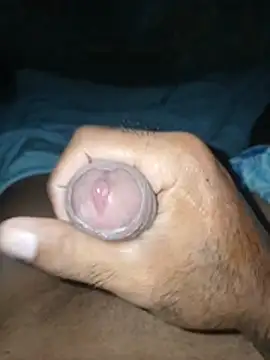 taylorWiiz online show from 11/29/25, 05:21