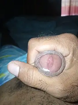 taylorWiiz online show from 01/08/26, 04:31