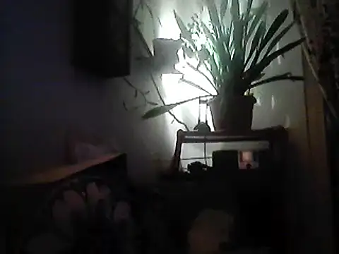 Bigpenis6y online show from 12/30/24, 03:57