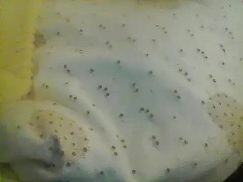 Bigpenis6y online show from 01/24/25, 05:21