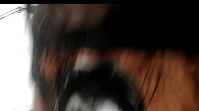 evaleribigtits18 online show from 11/24/25, 07:13