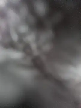 hungarian dick online show from 01/31/25, 09:37