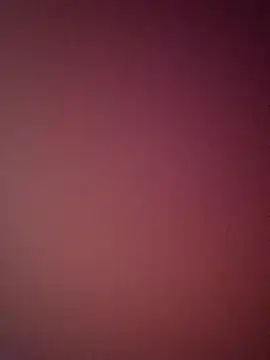 bustybillies online show from 04/03/26, 04:54