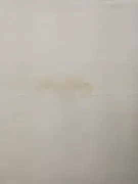 Snapshot of Rina777o chatting on 12/30/24, 08:36 Rina777o online show from 12/30/24, 08:36