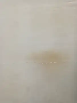 Snapshot of Rina777o chatting on 03/07/25, 06:11 Rina777o online show from 03/07/25, 06:11