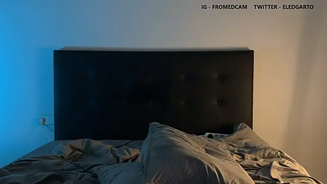 Snapshot of fromed chatting on 01/25/25, 12:17 fromed online show from 01/25/25, 12:17