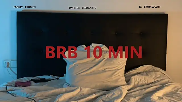 Snapshot of fromed chatting on 02/13/25, 03:07 fromed online show from 02/13/25, 03:07