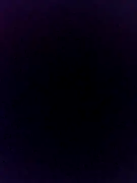 El baby12 online show from 12/14/24, 11:34