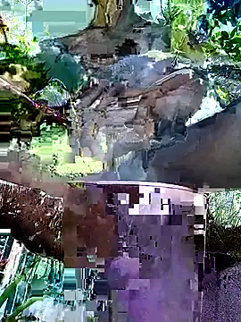 gwadaa9 online show from 12/22/25, 06:16