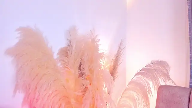 amelie murphy  online show from 12/15/24, 02:52