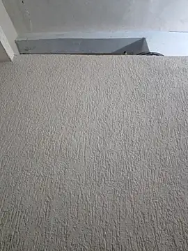 Priya Strip online show from 03/28/26, 08:30