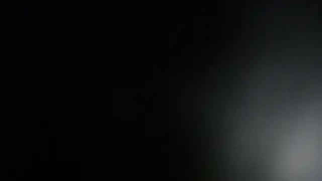 ViolethRammtein online show from 01/27/25, 12:01