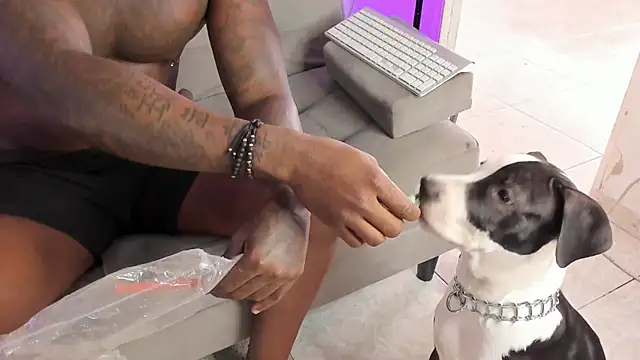 Dvid Rullers online show from 09/16/25, 12:50