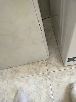 user 662 online show from 02/20/26, 11:43