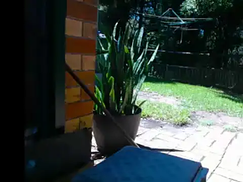 InfamousBabyy  online show from 12/12/24, 12:27