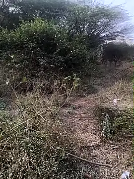 Snapshot of Abinash7732 chatting on 02/01/26, 03:05 Abinash7732 online show from 02/01/26, 03:05