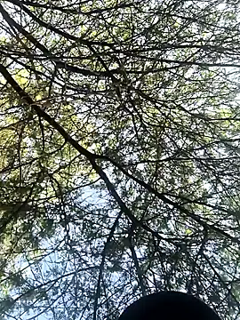 Snapshot of Abinash7732 chatting on 03/08/26, 02:15 Abinash7732 online show from 03/08/26, 02:15