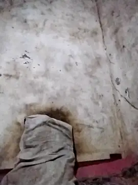 Leonelzain online show from 03/06/26, 05:53