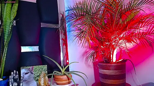 RyanRizzo online show from 01/22/25, 07:24