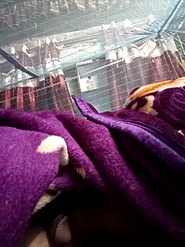 900irani online show from 12/17/24, 12:12