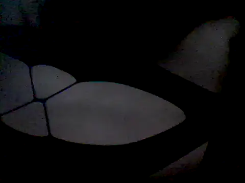 Snapshot of luniaitaliax3 chatting on 01/07/25, 12:13 luniaitaliax3 online show from 01/07/25, 12:13