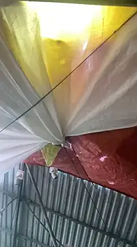 Cesywet online show from 02/07/25, 08:33