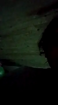 bonnnieandclydee online show from 03/12/25, 02:09