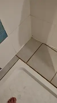 Snapshot of Ariete80s chatting on 02/21/25, 03:32 Ariete80s online show from 02/21/25, 03:32