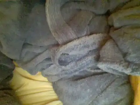 Snapshot of Ariete80s chatting on 02/23/25, 06:56 Ariete80s online show from 02/23/25, 06:56