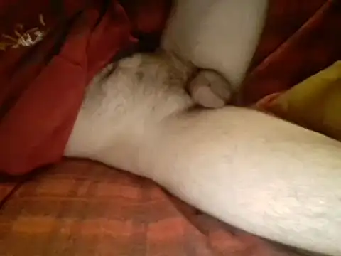 Snapshot of Ariete80s chatting on 03/10/25, 06:16 Ariete80s online show from 03/10/25, 06:16