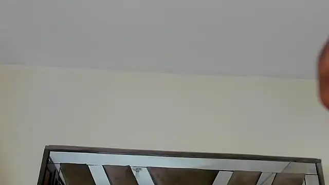 sara williams01 online show from 02/08/25, 01:11