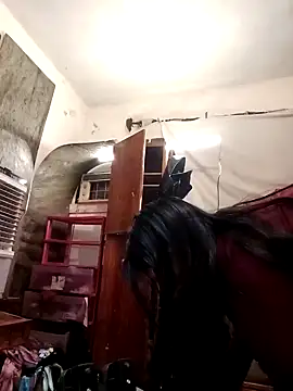 SINUECASTILLO online show from 12/12/24, 07:41