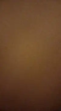 Nutbuster247 online show from 02/27/25, 11:04