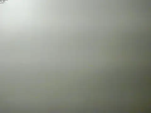 lilbishmiss online show from 01/29/25, 01:58